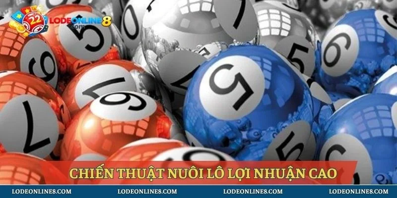Chiến thuật nuôi lô lợi nhuận cao