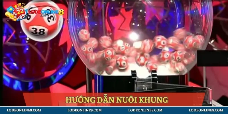 Hướng dẫn nuôi khung