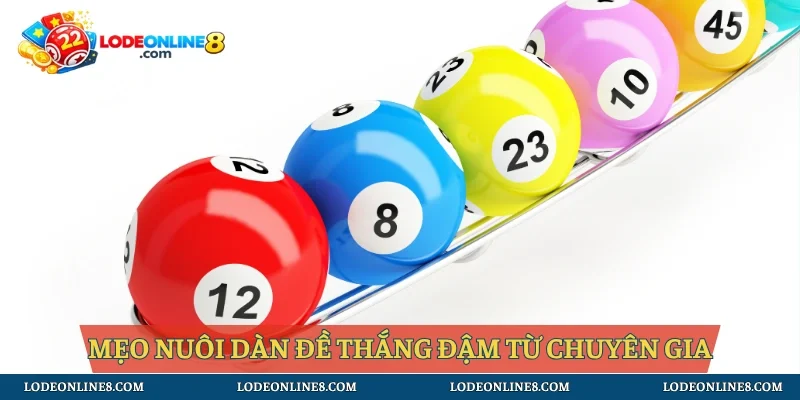 Mẹo nuôi dàn đề thắng đậm từ chuyên gia