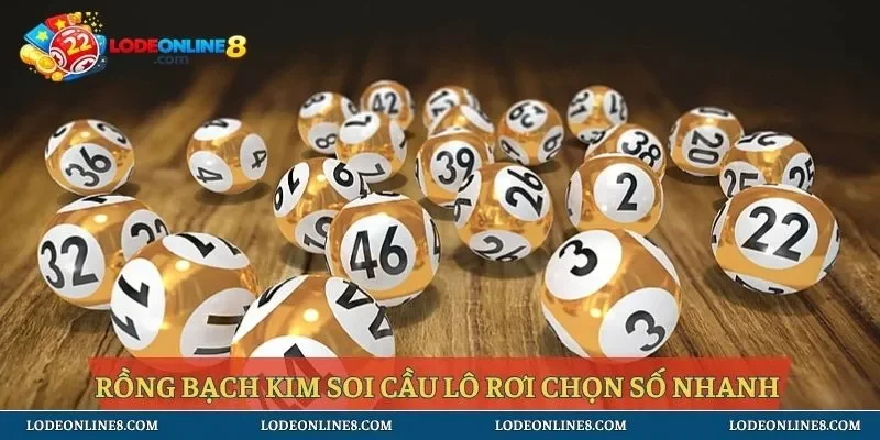 Rồng bạch kim soi cầu lô rơi phương pháp hỗ trợ chọn số hiệu quả 